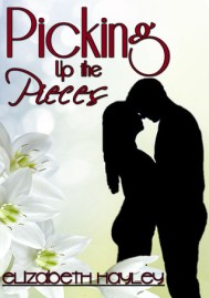 Picking Up the Pieces by Elizabeth Hayley (photo credit: I "borrowed" this from their website elizabethhayley.blogspot.com)