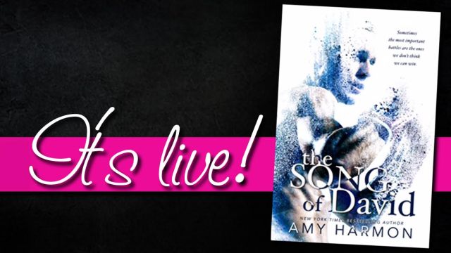 the song of david live